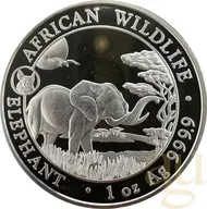 1 Unze Silbermünze Somalia Elefant 2019 Privy Mark Schwein