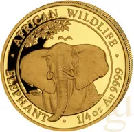 1/4 Unze Goldmünze Somalia Elefant 2021