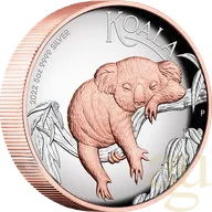 5 Unzen Silbermünze Australien Koala 2022 - High Relief - polierte Platte - rosè vergoldet