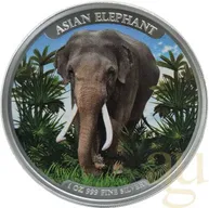 1 Unze Silbermünze Kambodscha Asien Big Five Elefant 2023 - coloriert