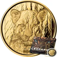 1 Unze Goldmünze Afrika Ghana Leopard 2023 - polierte Platte