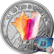 1 Unze Silbermünze EC8 St. Kitts & Nevis - Conch Shell 2023 - coloriert
