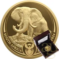 1 Unze Goldmünze Südafrika Big Five Elefant 2024 proof