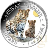 1 Unze Silbermünze Somalia African Wildlife Leopard 2024 - coloriert