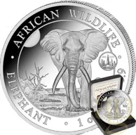 1 Unze Silbermünze Somalia Elefant 2024 - ANA Chicago