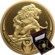 1 Unze Goldmünze Südafrika Big Five Löwe 2025 proof