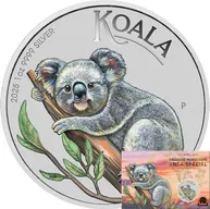 1 Unze Silbermünze Australien Koala 2025 ANDA Special coloriert - Coincard