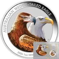 1 Unze Silbermünze Australien Wedge Tailed Eagle 2026 coloriert - Coincard