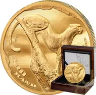2 Unzen Goldmünze Südafrika The African Range Gepard 2026 - High Relief