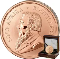 1/2 Unze Goldmünze Krügerrand 2026 - Reverse polierte Platte