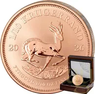 1/10 Unze Goldmünze Krügerrand 2026 - Reverse polierte Platte
