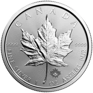 1 Unze Silbermünze Maple Leaf