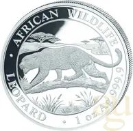 1 Unze Silbermünze Somalia African Wildlife Leopard 2026