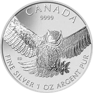 1 Unze Silbermünze Kanada Birds of Prey - Great Horned Owl - Eule 2015
