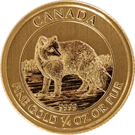 1/4 Unze Goldmünze Kanada Arctic Fox 2014