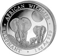 1 Kilogramm Silbermünze Somalia Elefant 2014