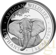1 Kilogramm Silbermünze Somalia Elefant 2021