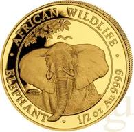 1/2 Unze Goldmünze Somalia Elefant 2021