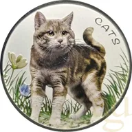 1 Unze Silbermünze Fiji Cats 2022 - coloriert
