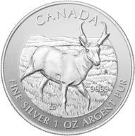 1 Unze Silbermünze Kanada Wildlife Antilope 2013