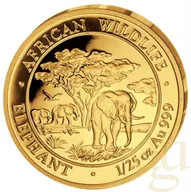 1/25 Unze Goldmünze Somalia Elefant 2012
