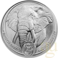 1 Unze Platinmünze Südafrika Big Five Elefant 2023