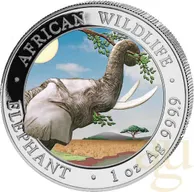 1 Unze Silbermünze Somalia Elefant 2023 - coloriert