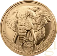 1 Unze Goldmünze Südafrika Big Five Elefant 2023