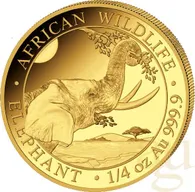 1/4 Unze Goldmünze Somalia Elefant 2023