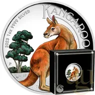 1 Unze Silbermünze Australien Känguru 2023 - polierte Platte - High Relief - coloriert
