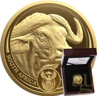 1 Unze Goldmünze Südafrika Big Five Büffel 2023 proof