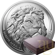 5 Unzen Silbermünze Südafrika Big Five Löwe 2022 proof