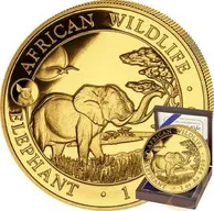 1 Unze Goldmünze Somalia Elefant 2019 - Privy Mark Schwein