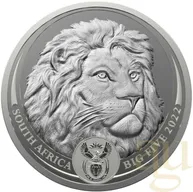 1 Kilogramm Silbermünze Südafrika Big Five Löwe 2022 proof