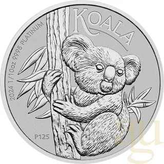 1/10 Unze Platinmünze Australien Koala 2024