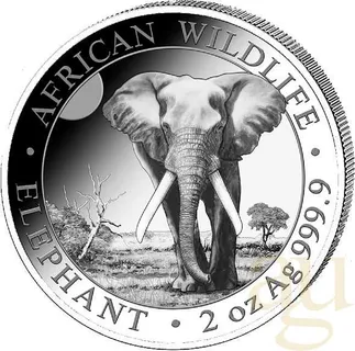 2 Unzen Silbermünze Somalia Elefant 2025