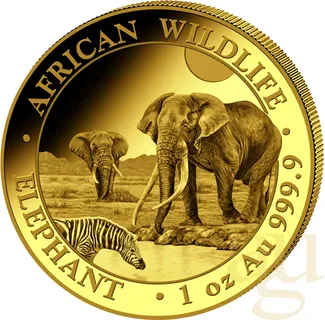 1 Unze Goldmünze Somalia Elefant 2026