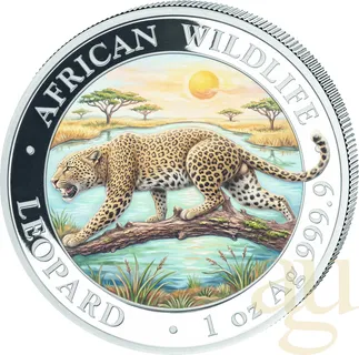1 Unze Silbermünze Somalia African Wildlife Leopard 2026 - coloriert