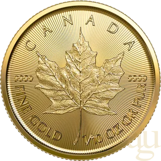 1/10 Unze Goldmünze Maple Leaf 2023