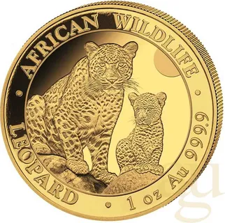 1 Unze Goldmünze Somalia African Wildlife Leopard 2024