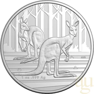 1 Unze Silbermünze Australien Känguru 2024 (RAM)