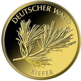 20 Euro Goldmünze Deutscher Wald - Kiefer 2013 (D)