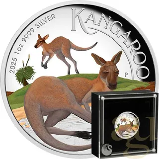 1 Unze Silbermünze Australien Känguru 2025 - polierte Platte - High Relief - coloriert