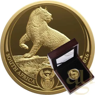 1/4 Unze Goldmünze Südafrika Big Five Leopard 2026 proof