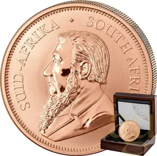 1/2 Unze Goldmünze Krügerrand 2026 - Reverse polierte Platte