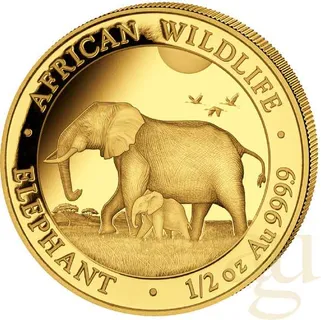 1/2 Unze Goldmünze Somalia Elefant 2022
