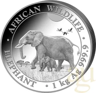 1 Kilogramm Silbermünze Somalia Elefant 2022