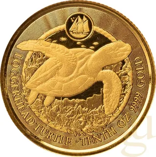 1/10 Unze Goldmünze Cayman Islands Schildkröte 2023