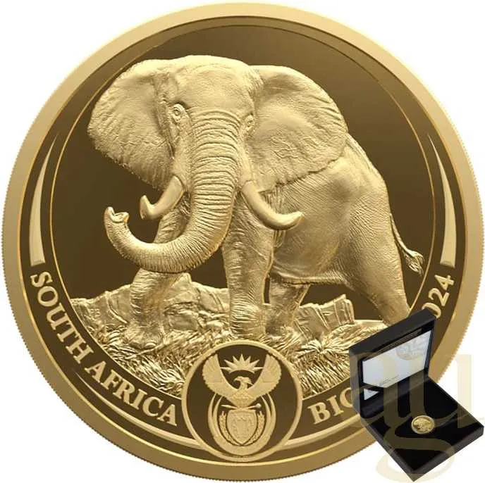 1/4 Unze Goldmünze Südafrika Big Five Elefant 2024 proof