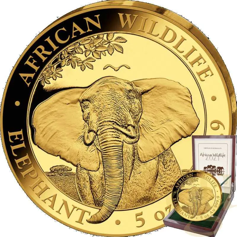 5 Unzen Goldmünze Somalia Elefant 2021 - polierte Platte